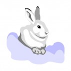 White rabbit, decals stickers