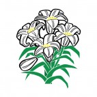 White easter lily, decals stickers