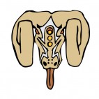 Brown and grey ram face with tongue out figure, decals stickers
