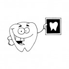Tooth with x-ray tooth picture, decals stickers
