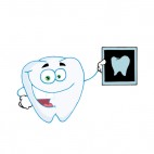 Tooth with x-ray tooth picture , decals stickers