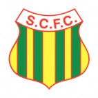 Sampaio soccer team logo, decals stickers