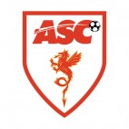 Association Sportive de Cannes soccer team logo, decals stickers