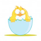 Shy chick in egg, decals stickers
