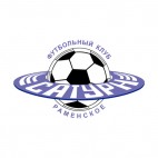 Saturn Ramenskoe soccer team logo, decals stickers
