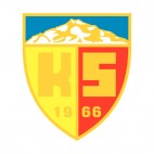 Kayserispor soccer team logo, decals stickers