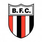 Botafogo Futebol Clube soccer team logo, decals stickers