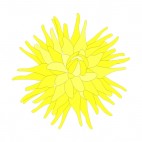 Yellow flower, decals stickers
