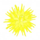 Yellow flower, decals stickers