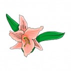 Pink flower with leaves, decals stickers