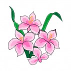 Pink hibiscus with leaves, decals stickers