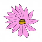 Pink daisy, decals stickers