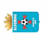 Blooming Santa Cruz soccer team logo, decals stickers