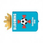 Blooming Santa Cruz soccer team logo, decals stickers