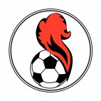 Pennar soccer team logo, decals stickers