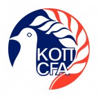 Cyprus Football Association logo, decals stickers