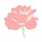 Pink rose, decals stickers