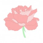 Pink rose, decals stickers