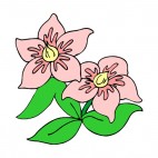 Pink and yellow flowers with leaves, decals stickers