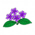 Purple african violets with leaves, decals stickers