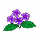 Purple african violets with leaves, decals stickers