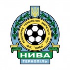 FC Nyva Ternopil soccer team logo, decals stickers