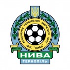 FC Nyva Ternopil soccer team logo, decals stickers