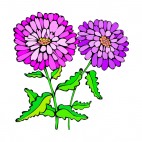 Pink and purple asters flowers with leaves, decals stickers