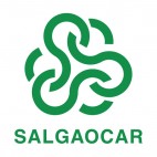 Salgaocar SC soccer team logo, decals stickers