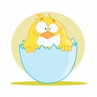 Shy chick in egg yellow backround, decals stickers