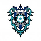 Avispa Fukuoka soccer team logo, decals stickers