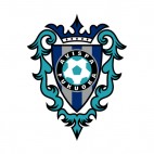 Avispa Fukuoka soccer team logo, decals stickers