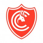 Cienci soccer team logo, decals stickers