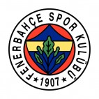 Fenerbahce SK soccer team logo, decals stickers