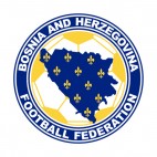 Football Association of Bosnia and Herzegovina logo, decals stickers