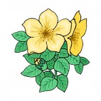 Yellow hibiscus flowers with leaves, decals stickers