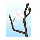 White flower blossoming, decals stickers