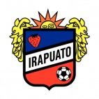 Freser soccer team logo, decals stickers