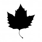 Maple leaf silhouette, decals stickers