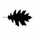 Toothed lobed leaf silhouette, decals stickers