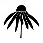 Wilted daisy silhouette, decals stickers