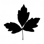 Elm toothed leaves silhouette, decals stickers