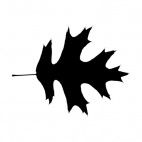 Lobbed leaf silhouette, decals stickers