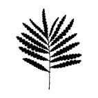 Fern leaf silhouette, decals stickers