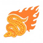 Flamboyant snake , decals stickers