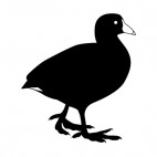 Duck walking, decals stickers