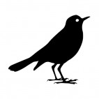 Small bird, decals stickers