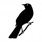 Small bird on a twig looking back, decals stickers