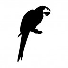 Parrot with long tail on twig, decals stickers