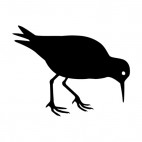 Bird eating, decals stickers